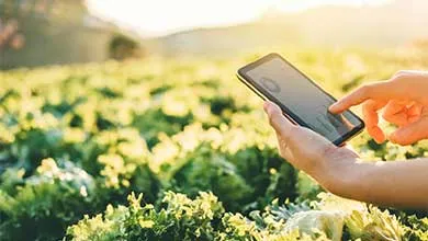 person holding tablet