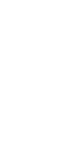 Using digital platforms to build and grow the network of young professionals 